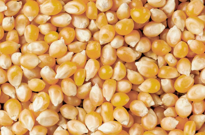 Palomitas Deliciosas